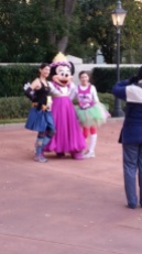 Princess Minnie!